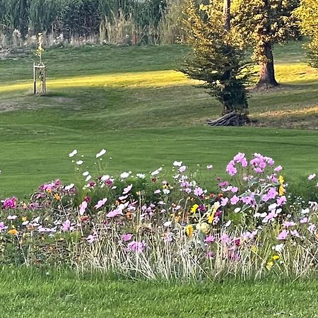 Landhotel Lembergblick Feilbingert المظهر الخارجي الصورة