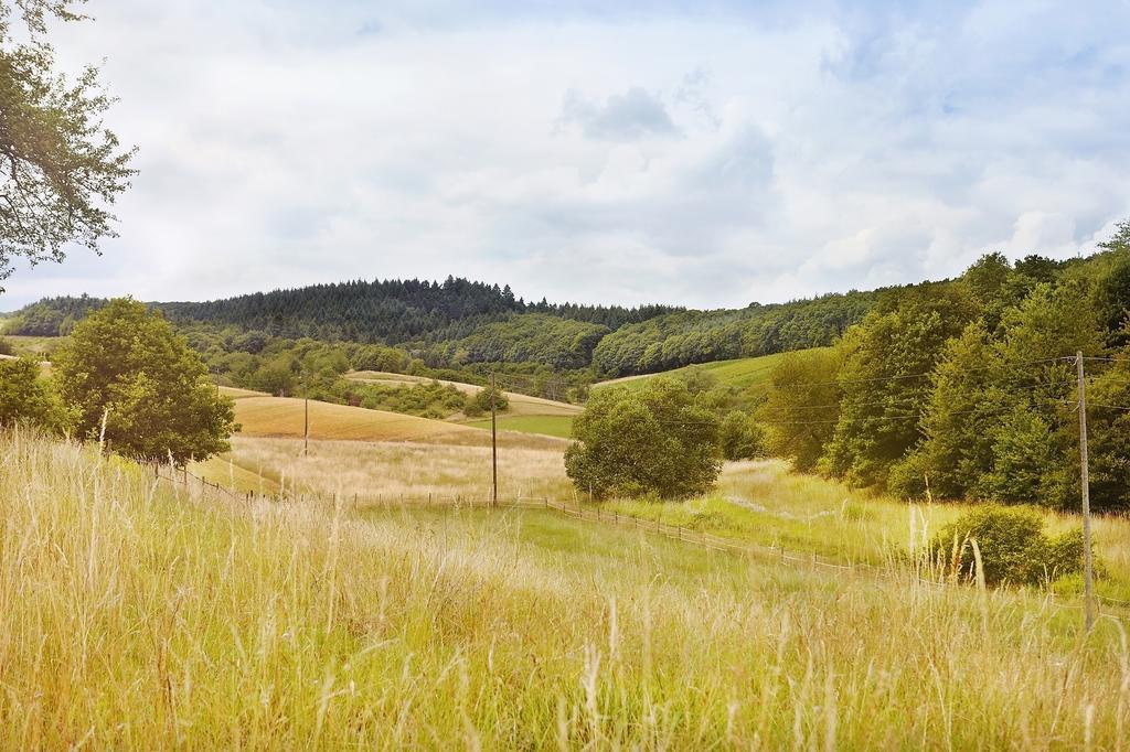 Landhotel Lembergblick Feilbingert المظهر الخارجي الصورة