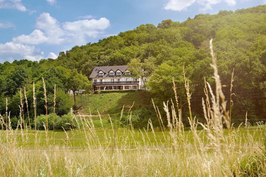 Feilbingert Landhotel Lembergblick المظهر الخارجي الصورة