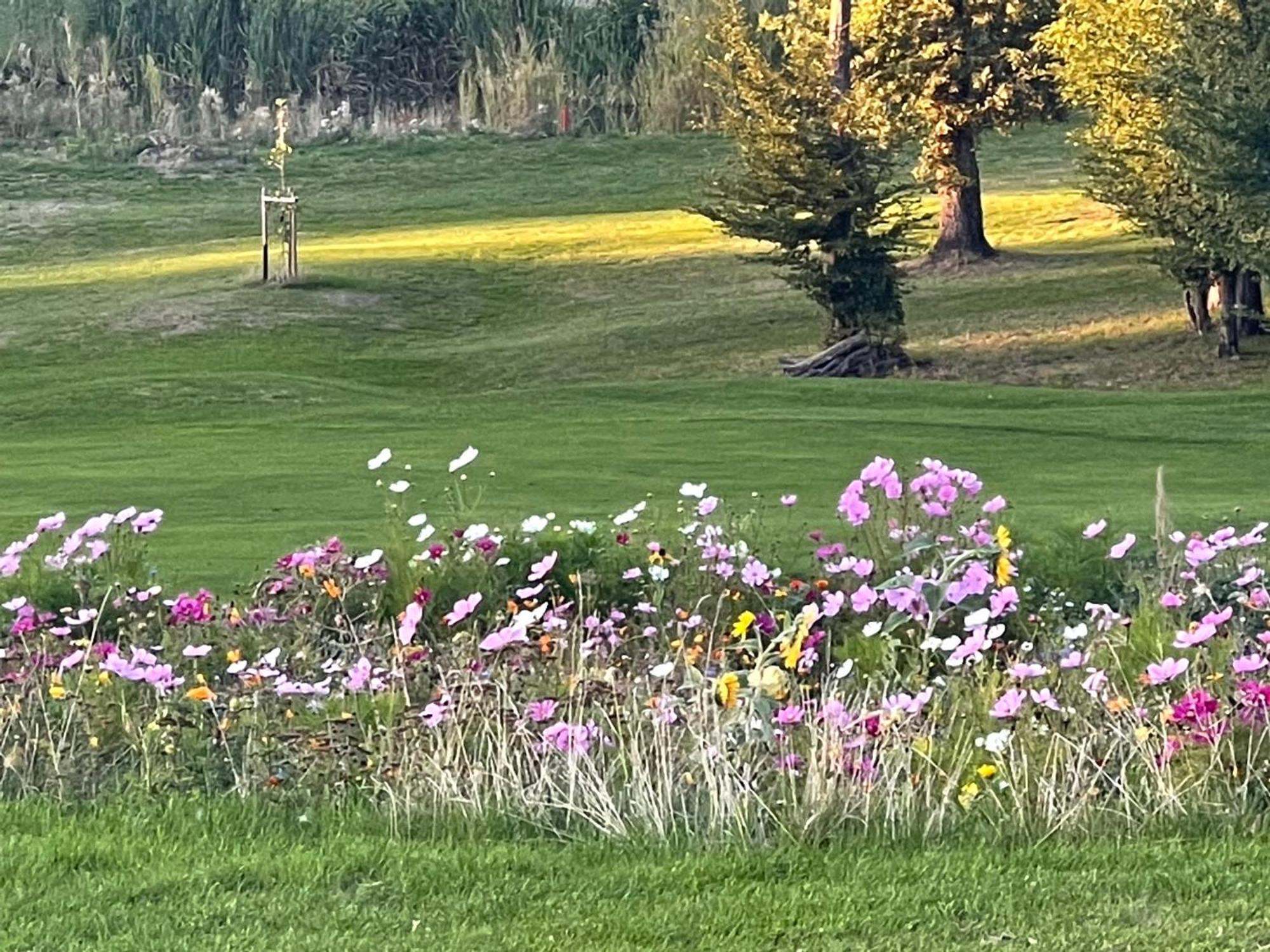 Landhotel Lembergblick Feilbingert المظهر الخارجي الصورة