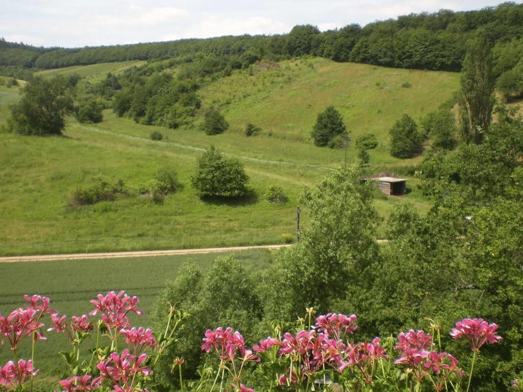 Feilbingert Landhotel Lembergblick المظهر الخارجي الصورة